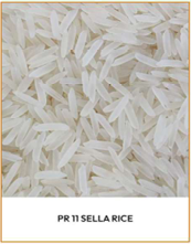 PR 11 Raw Rice